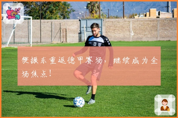 樊振东重返德甲赛场，继续成为全场焦点！