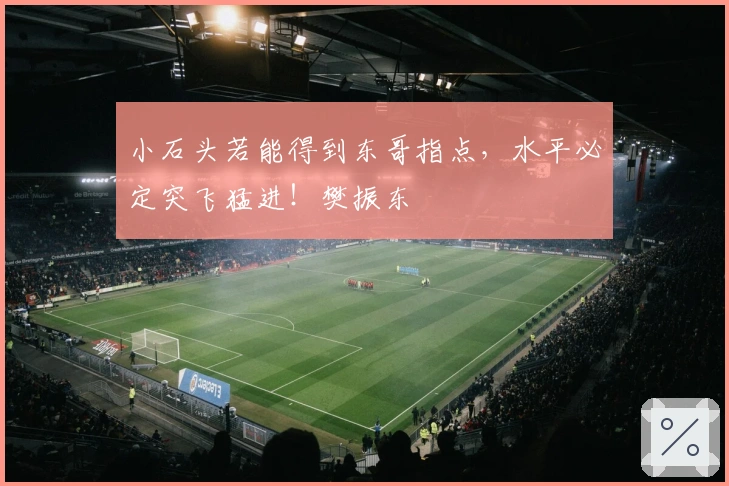 小石头若能得到东哥指点，水平必定突飞猛进！樊振东