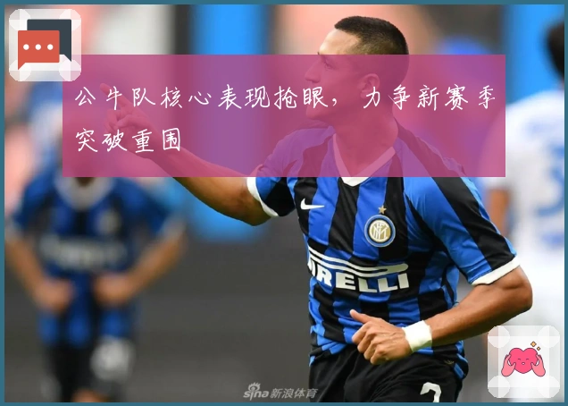 公牛队核心表现抢眼，力争新赛季突破重围